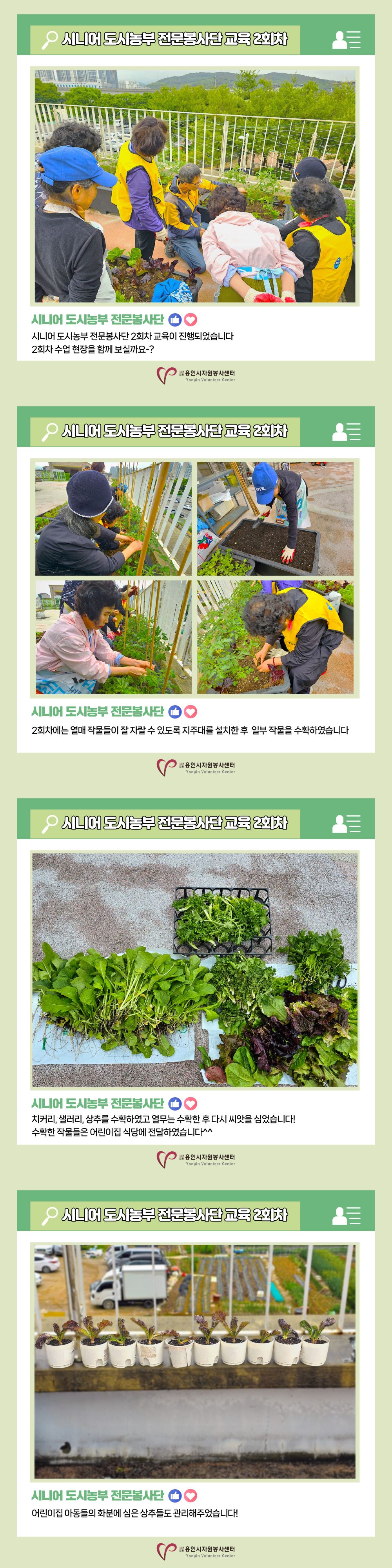 보드 첨부이미지