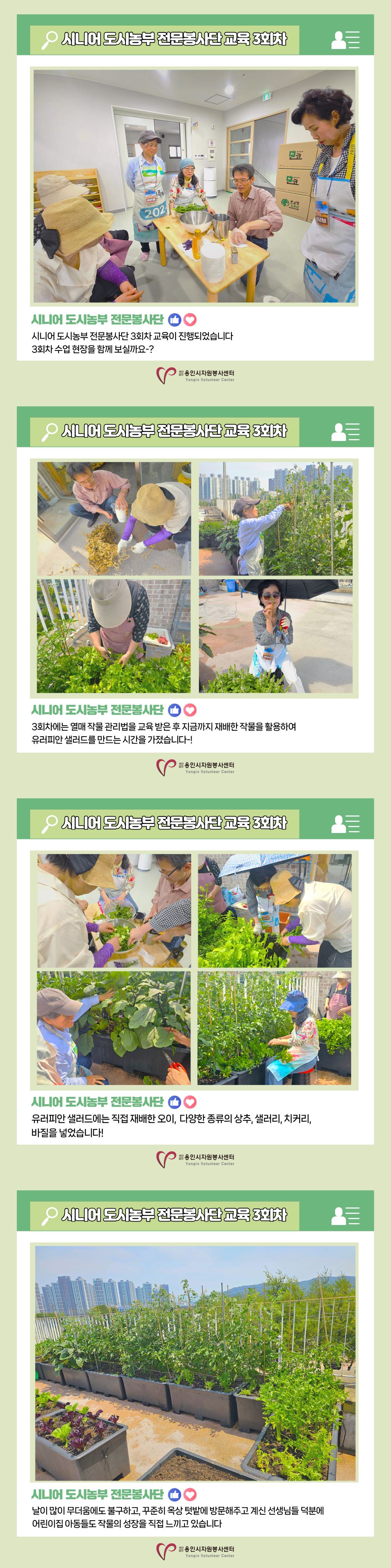 보드 첨부이미지