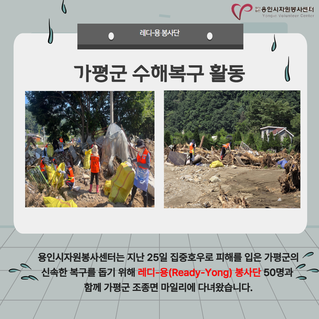 보드 첨부이미지