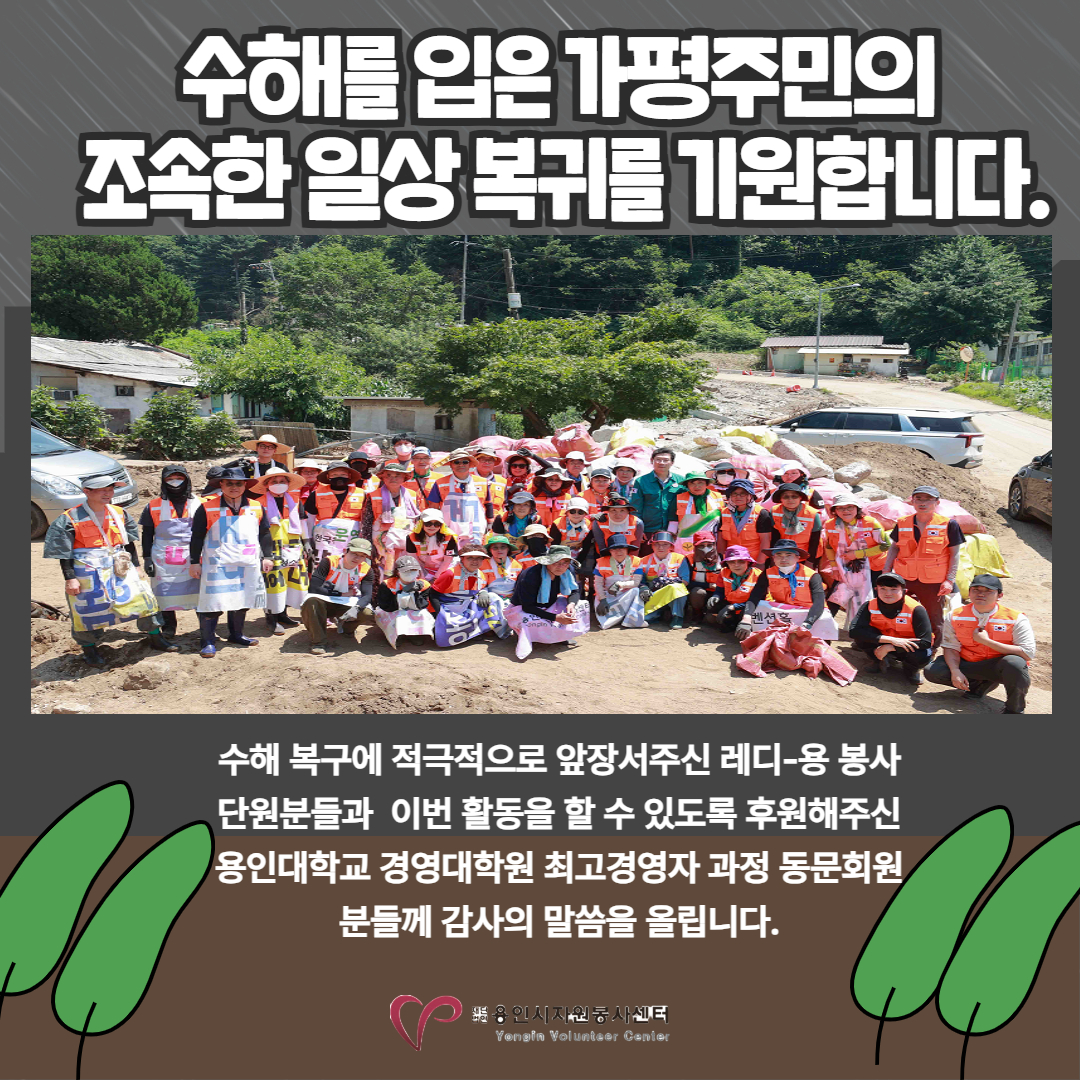 보드 첨부이미지